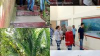 IMG_20260829_202647