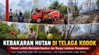 sampul_berita_telaga_kodok_kecil